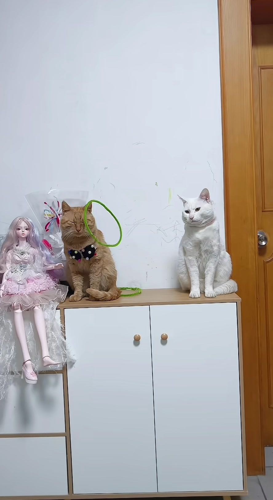 @Newtrend99