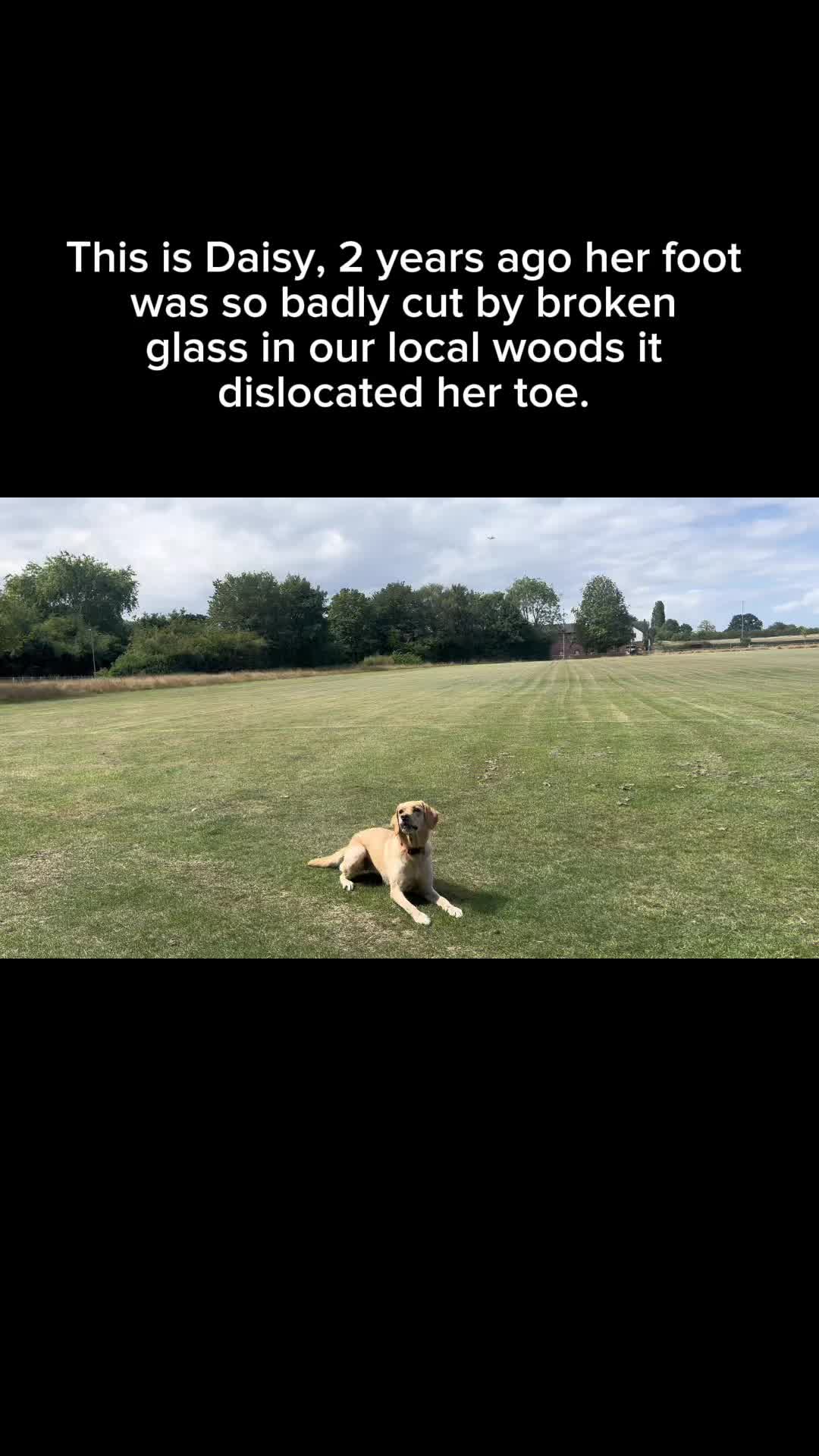 @toonortherntofunction