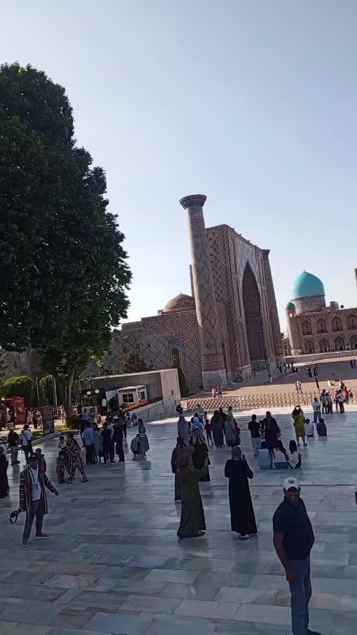 @telav