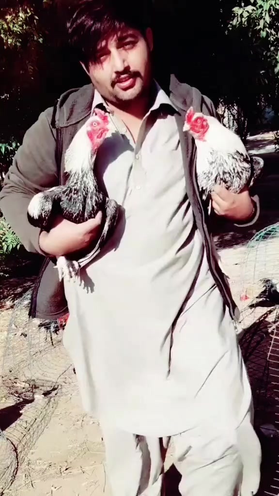 @Yasir Niazi R S ❤️ 2️⃣2️⃣2️⃣