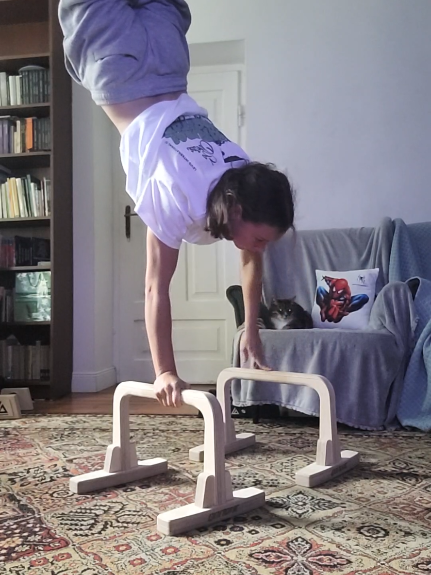 @calisthenics_mery