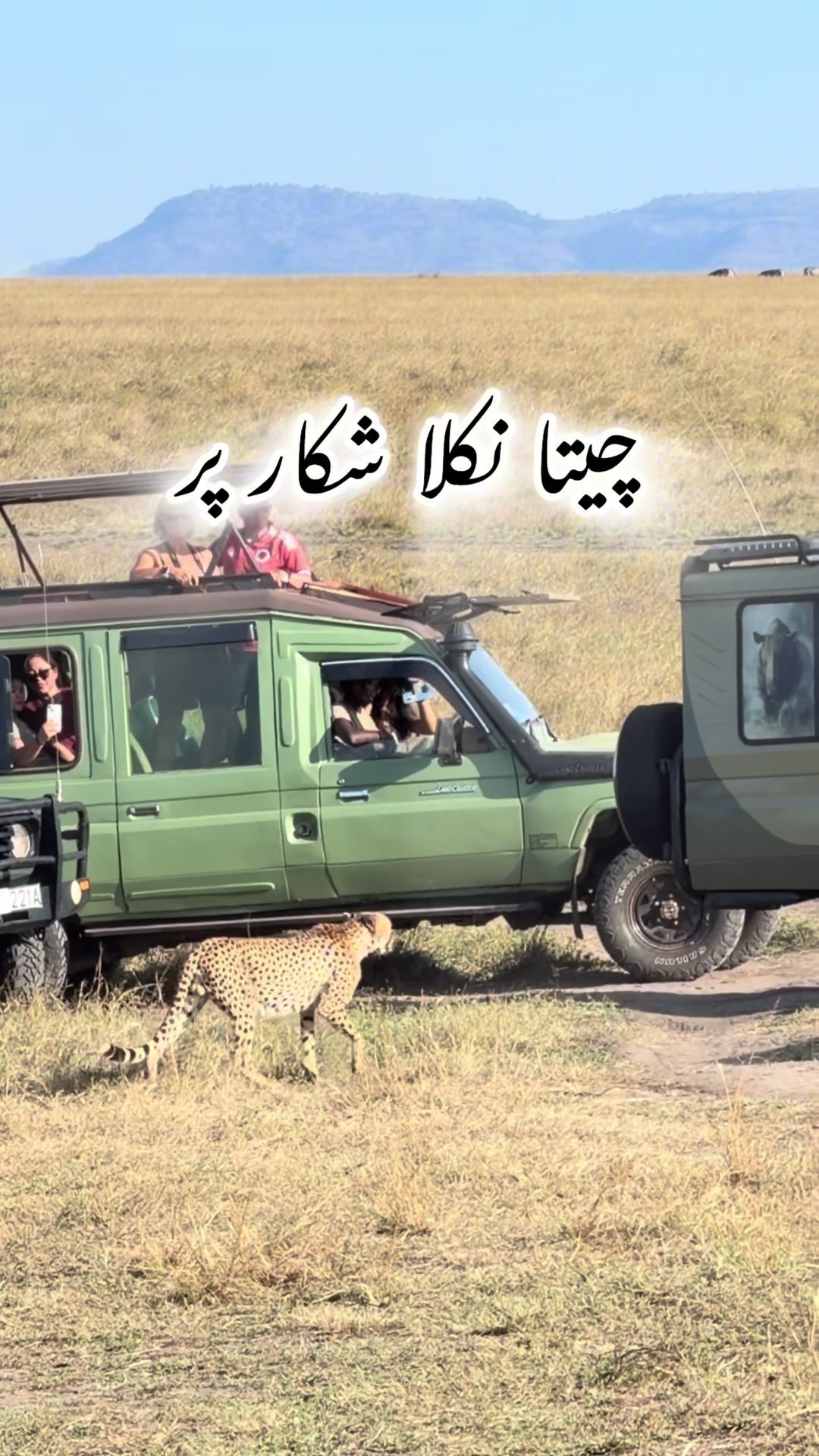 @Ch__Usama_Dhillon