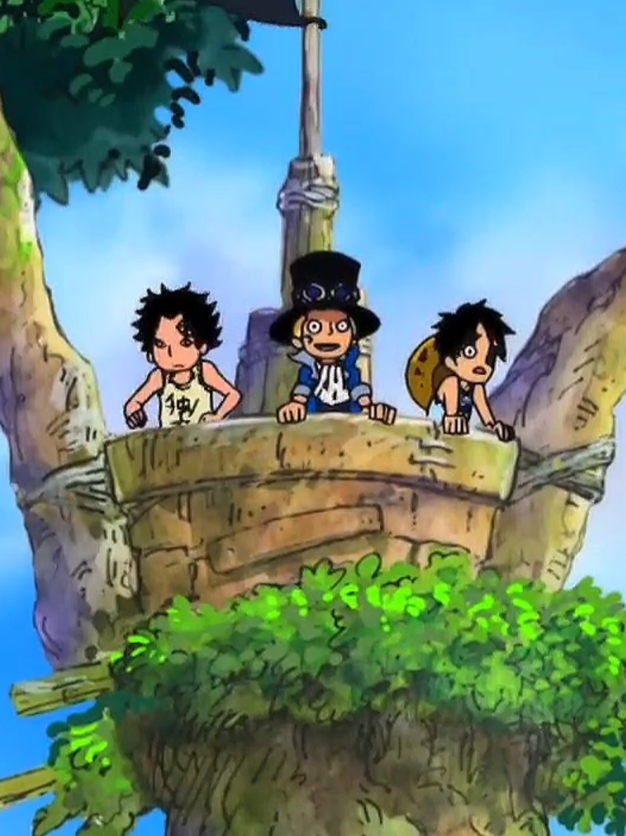 @One Piece ☠️