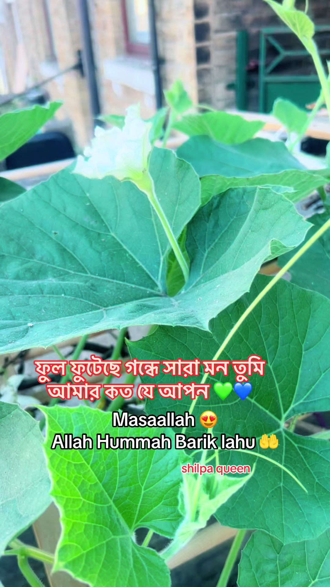 @Shilpa Queen đ¸