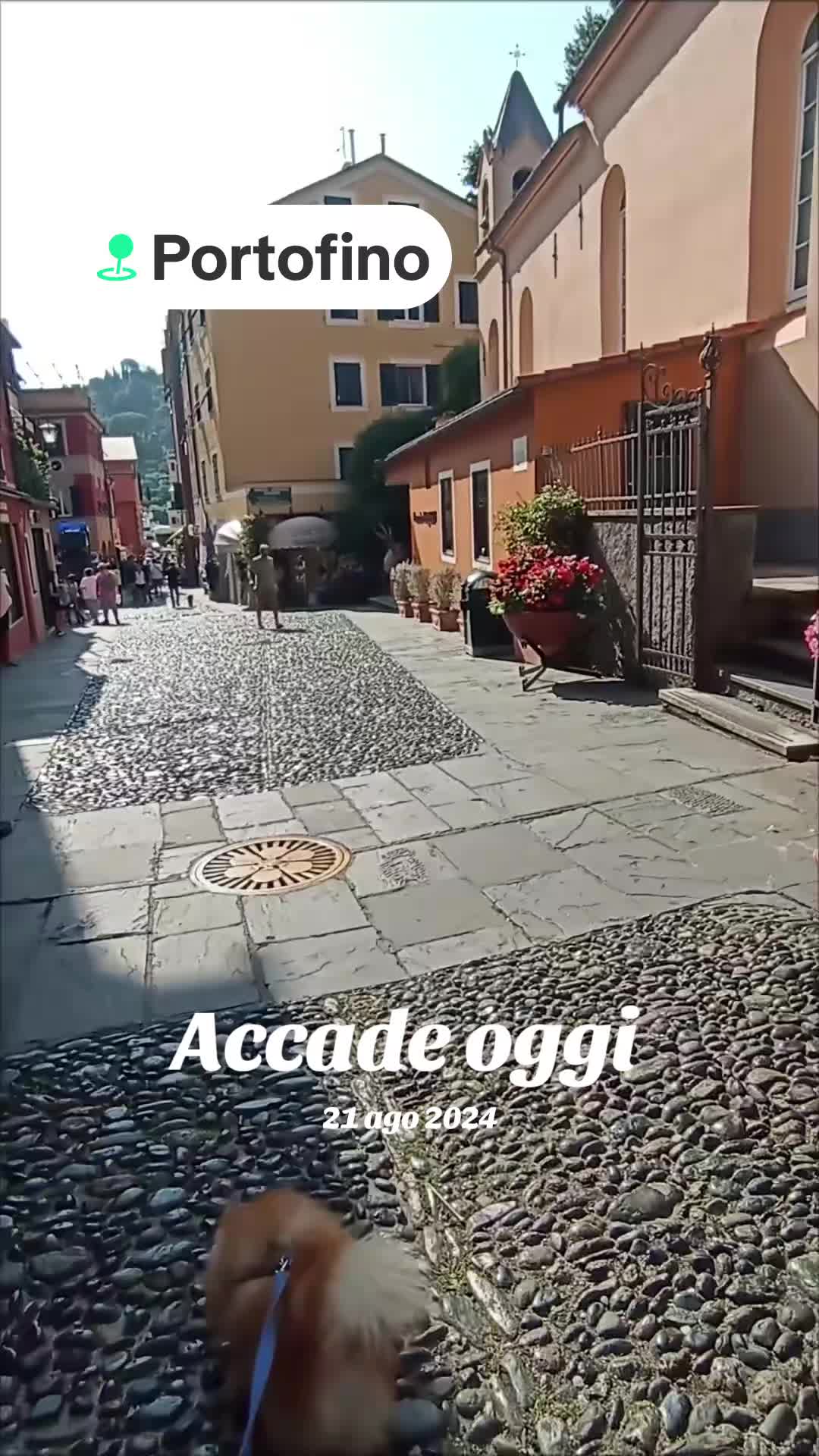 @❤️Milo❤️