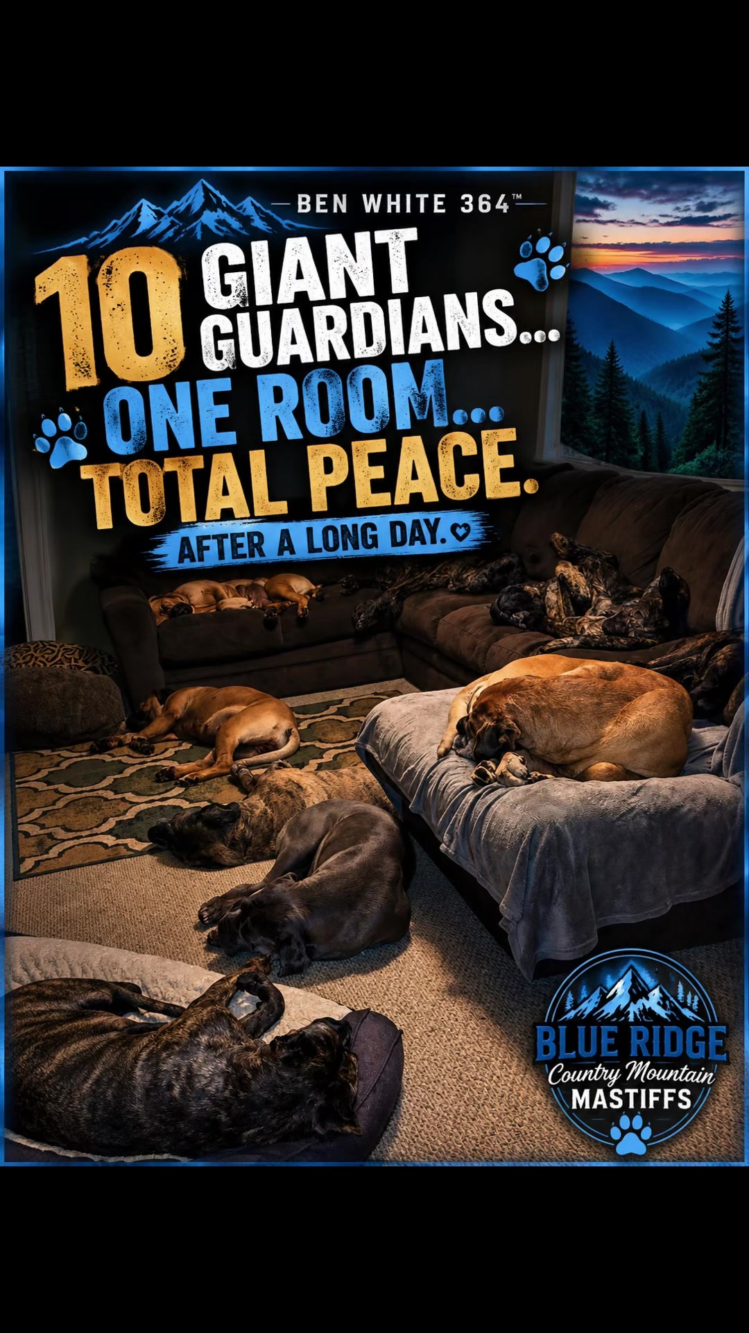 @Blue Ridge Mountain Mastiff’s