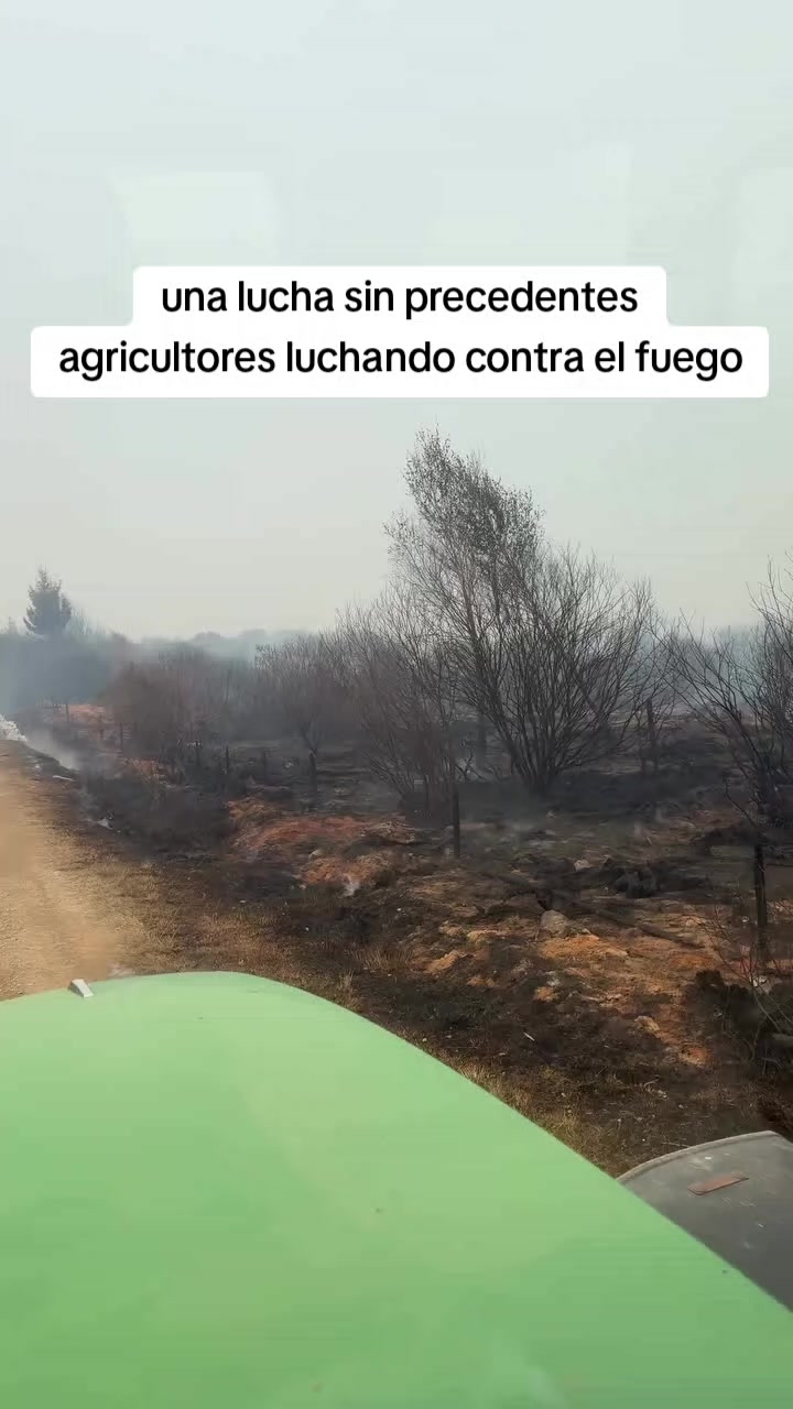@javiersanchezlibra