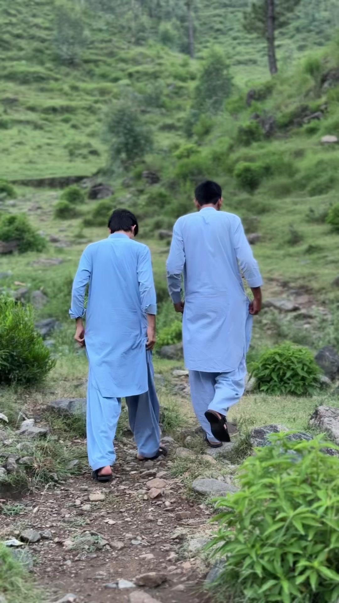 @تیمور خان⚜️