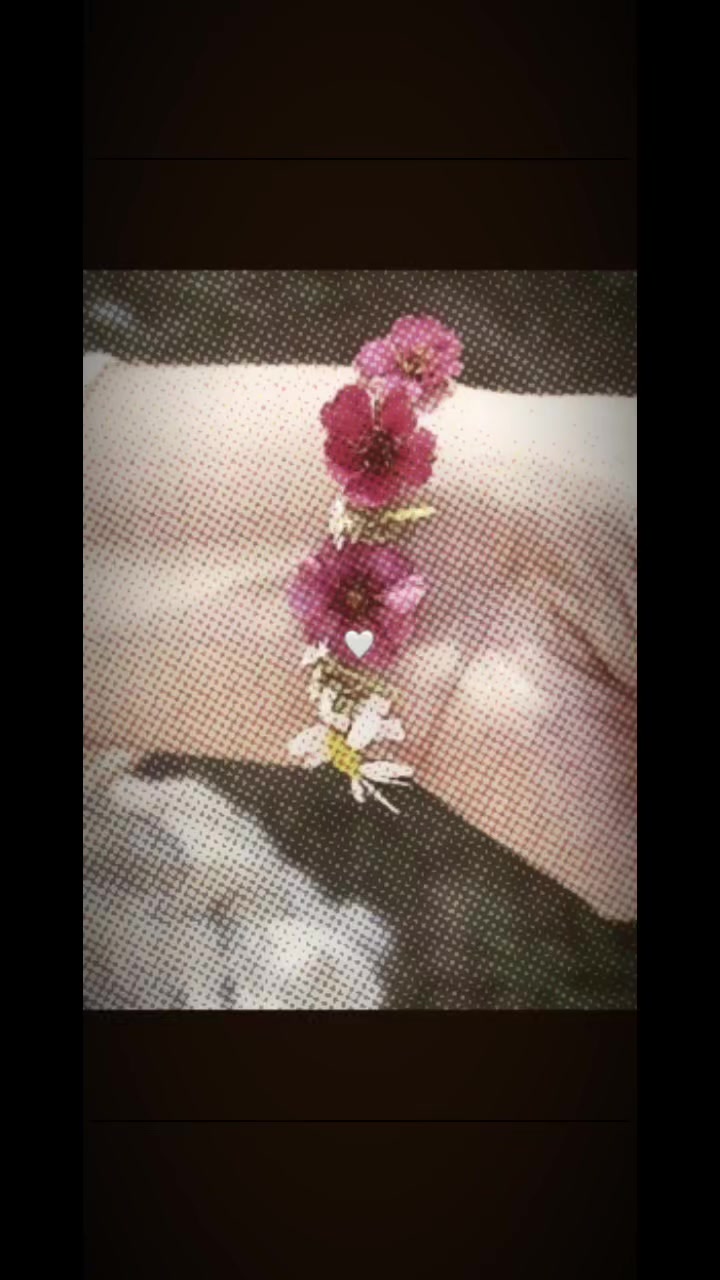 @✿.@𐙚⏤͟͟͞͞𝐌𝐢𝐌i °𐙚♡⎯⃝🦋