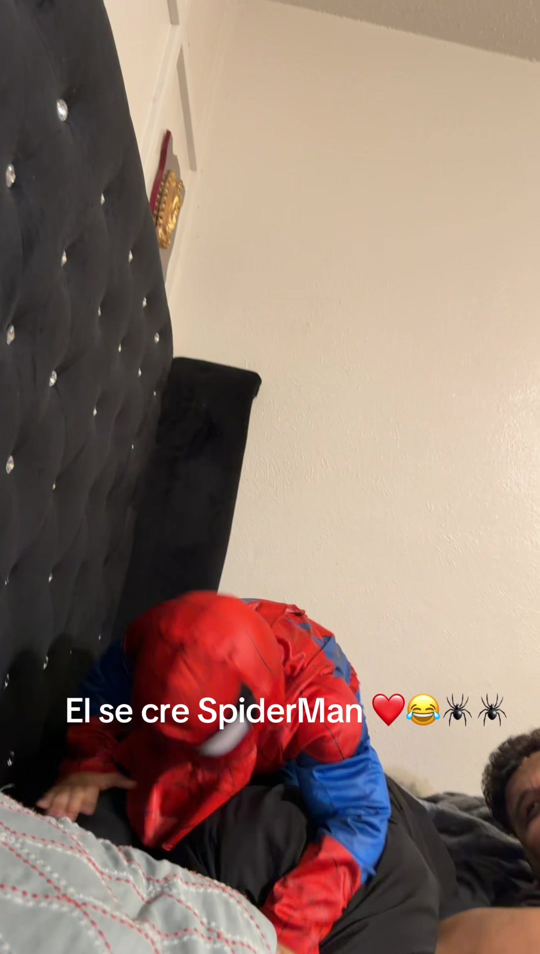 @Lulu Garza