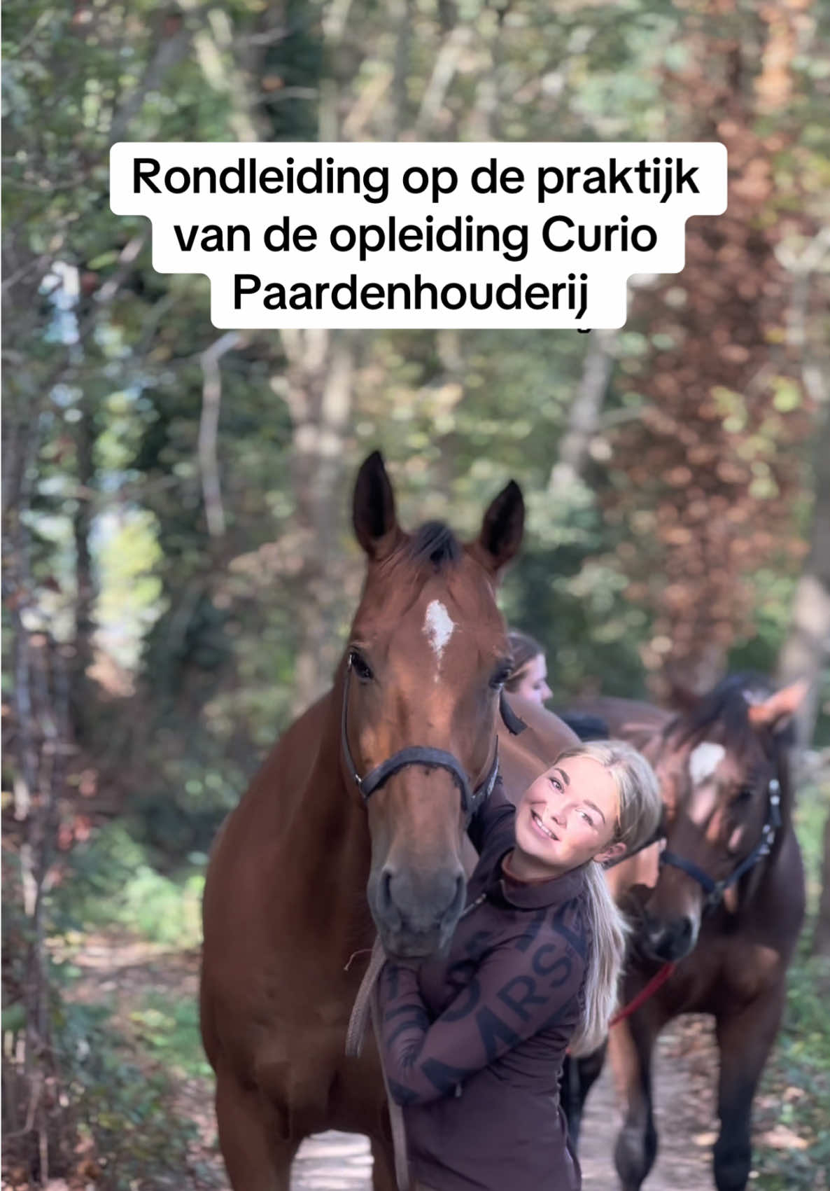 @Paardensport & -houderij Curio