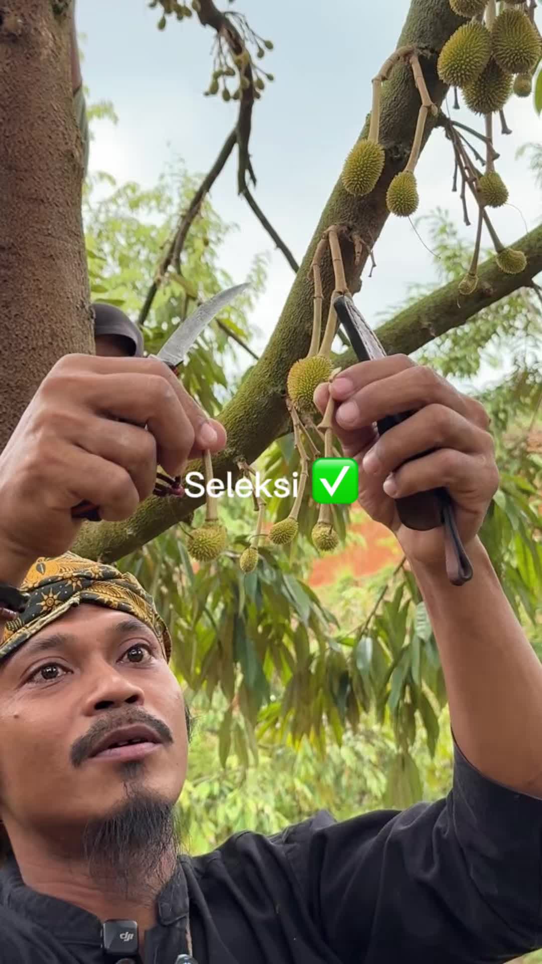 @AA KADU