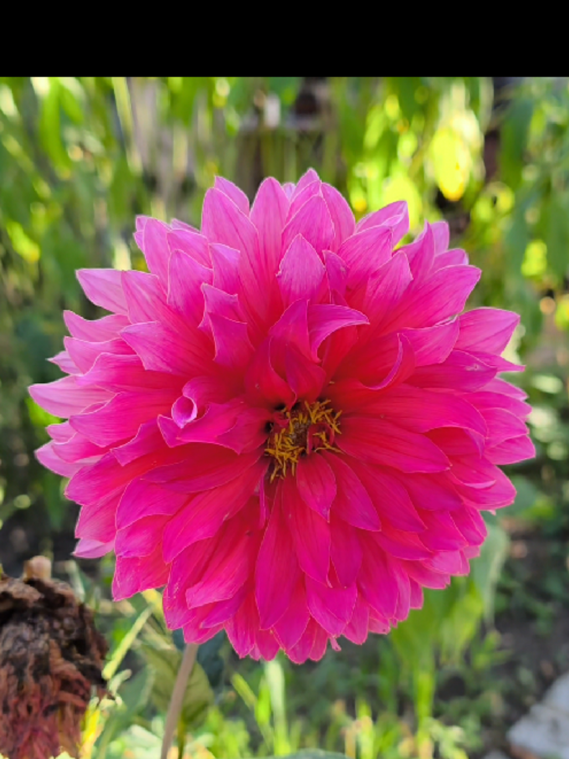 @nature.enjoyerᛉ