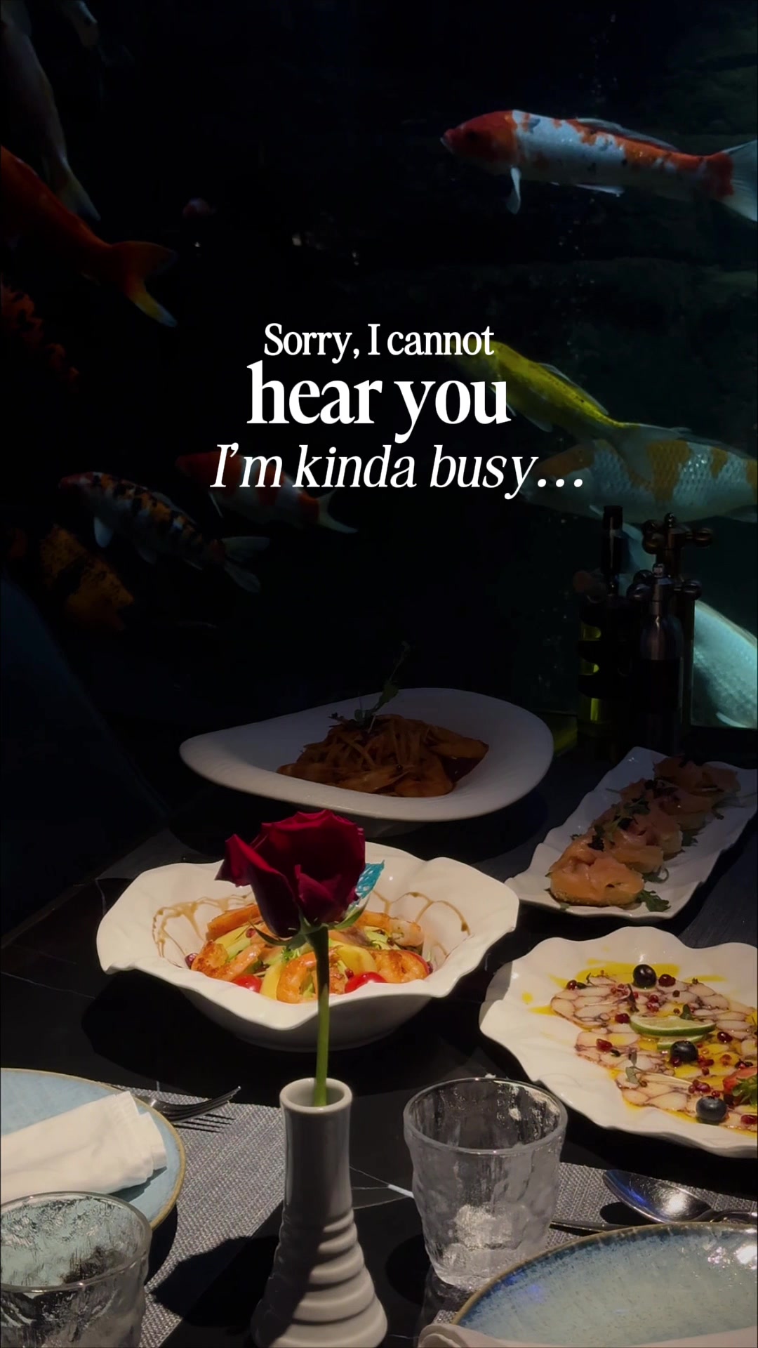@Mr Fisher Restaurant