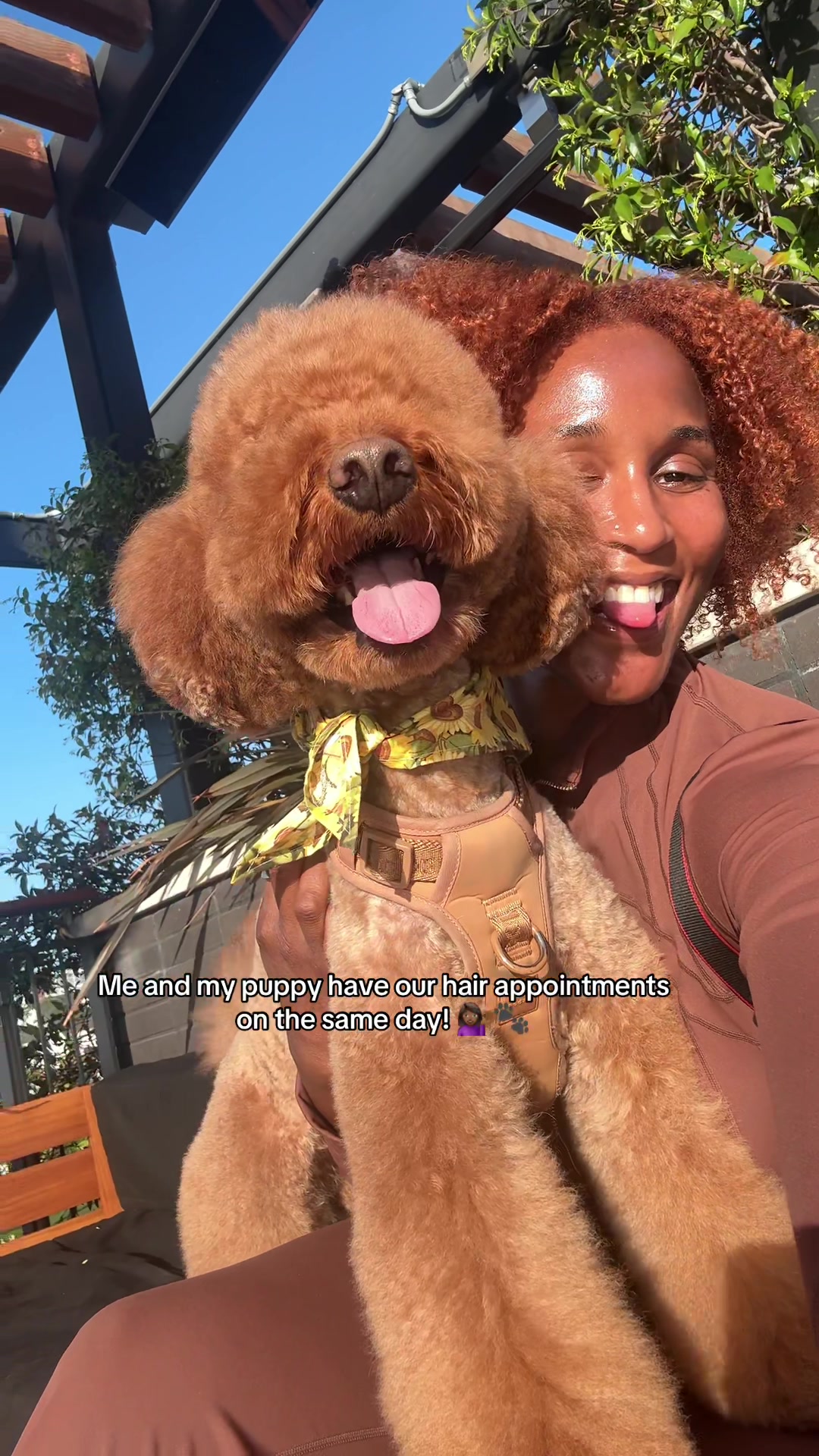@Mocha | Mini Goldendoodle 🐾
