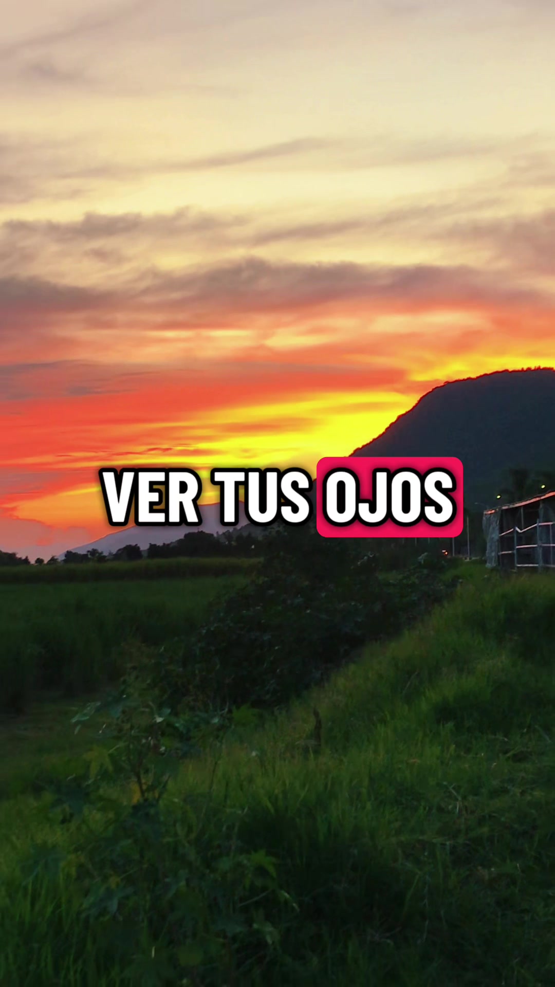 @DANY ALEX
