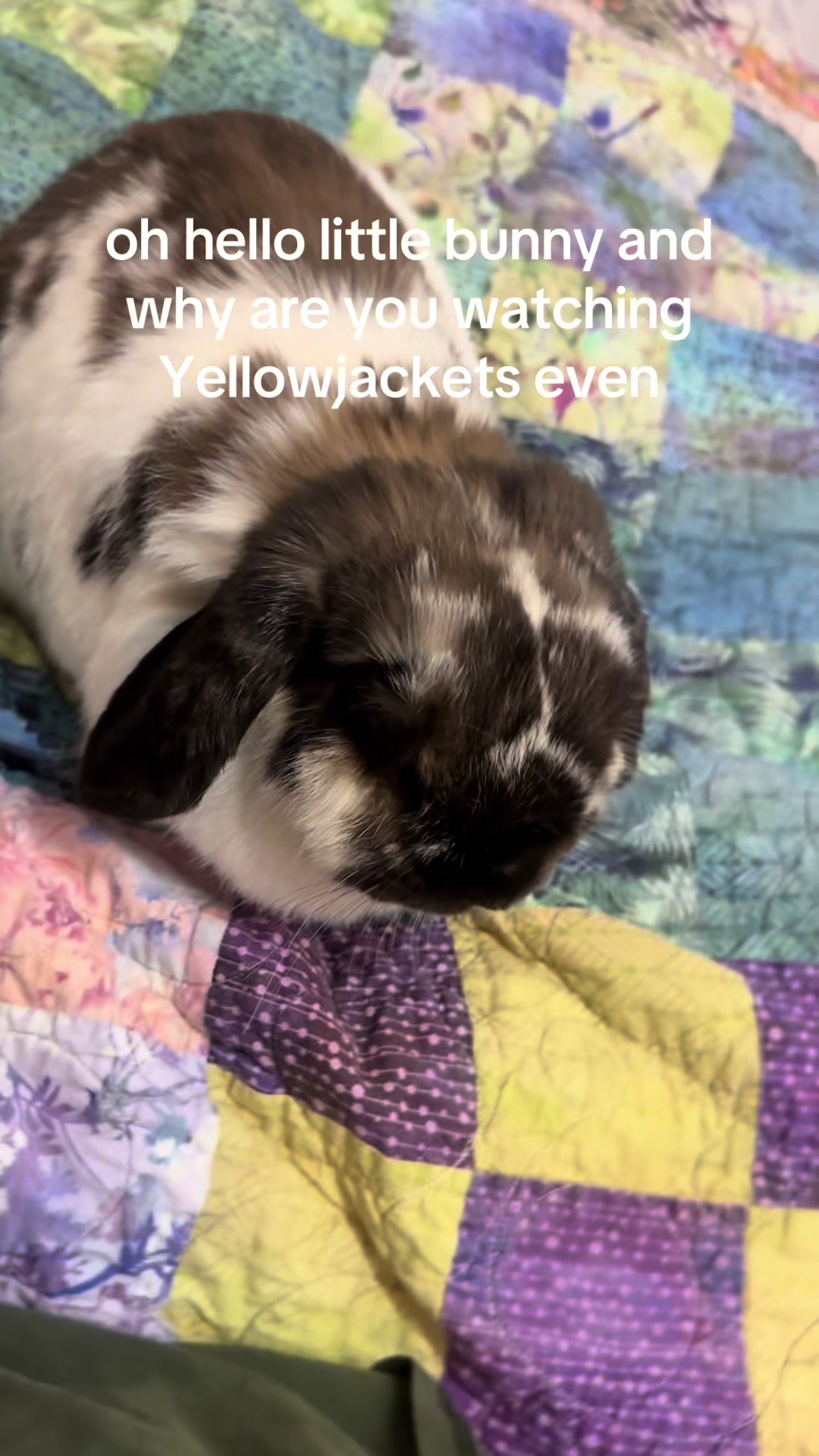 @Xx_yellowjacketsluvrrawr_xX