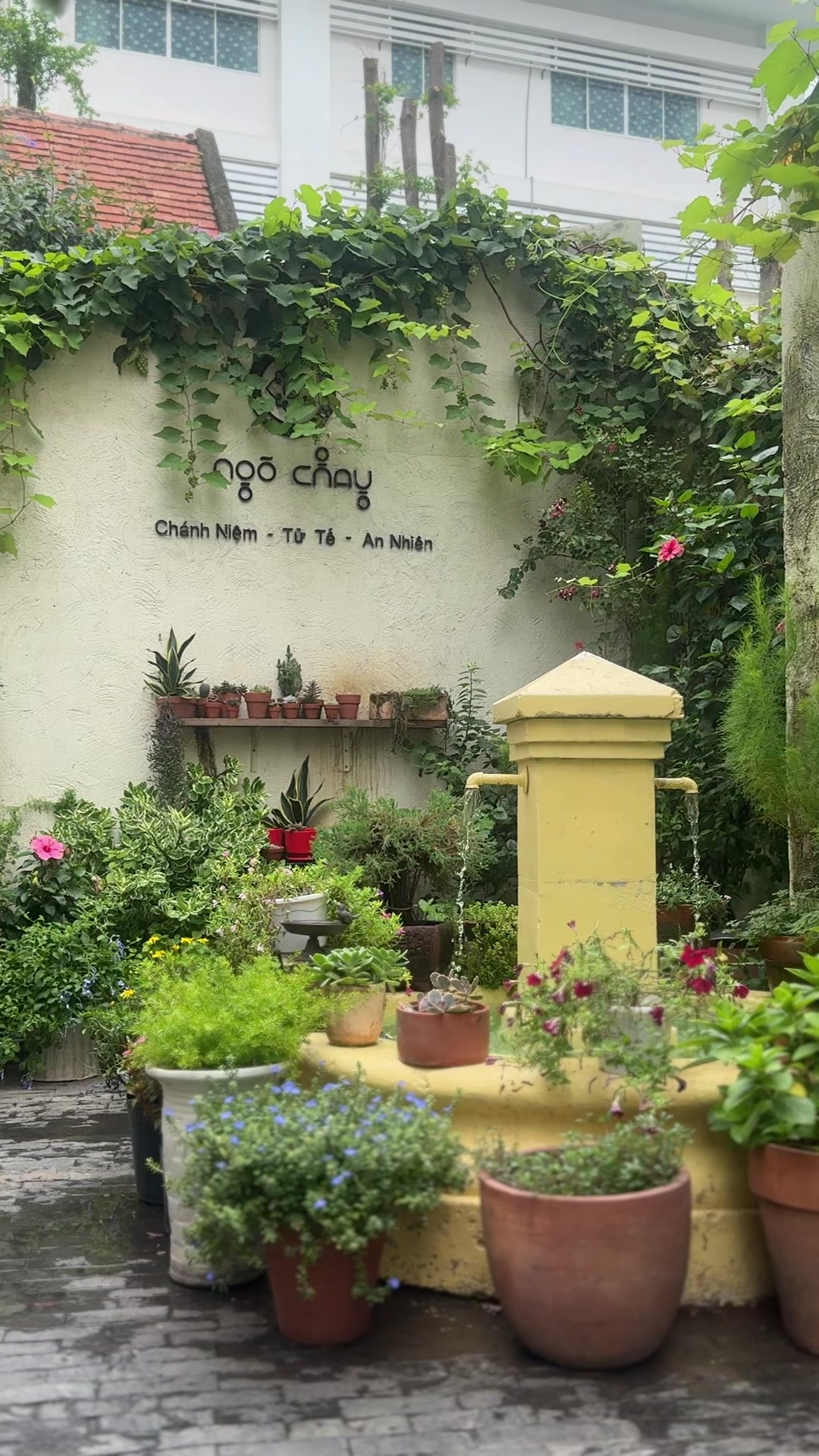 @Don&rsquo;s Garden