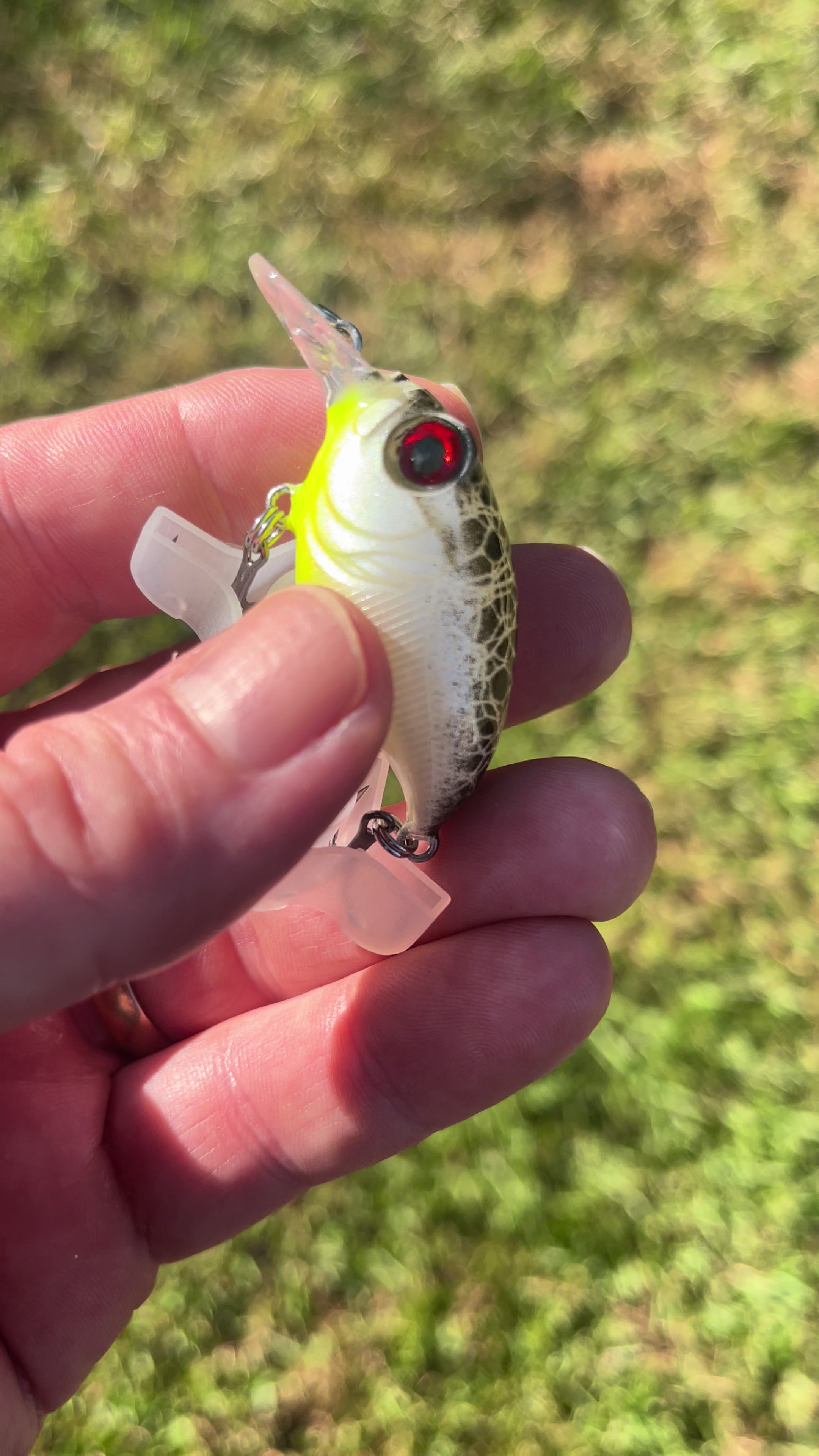 @Walshhog_Custom_Baits