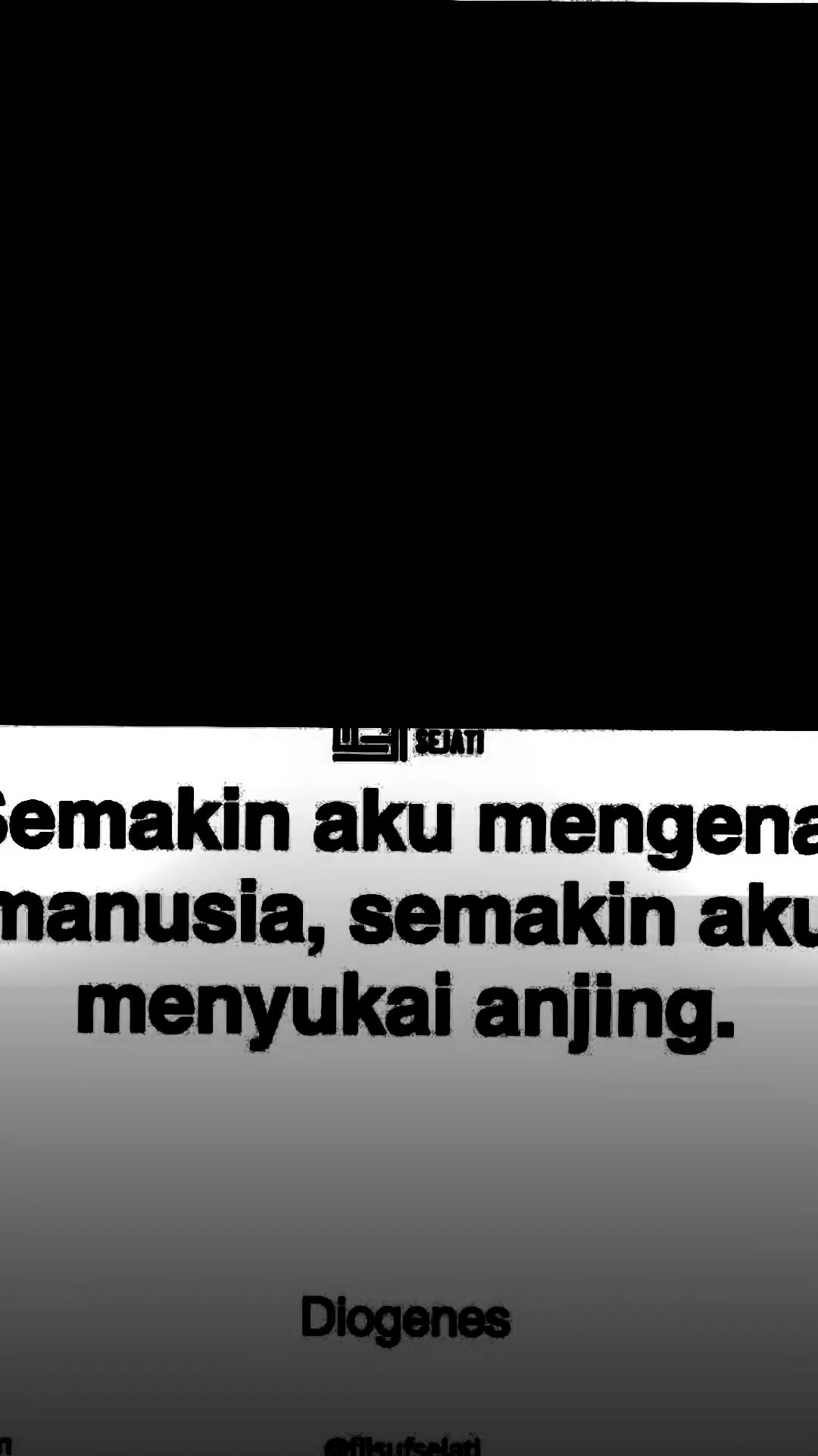 @cirzz