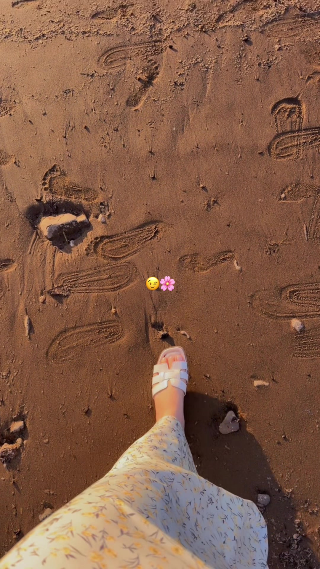@𝓒𝓱𝓵𝓸𝓮_🦋