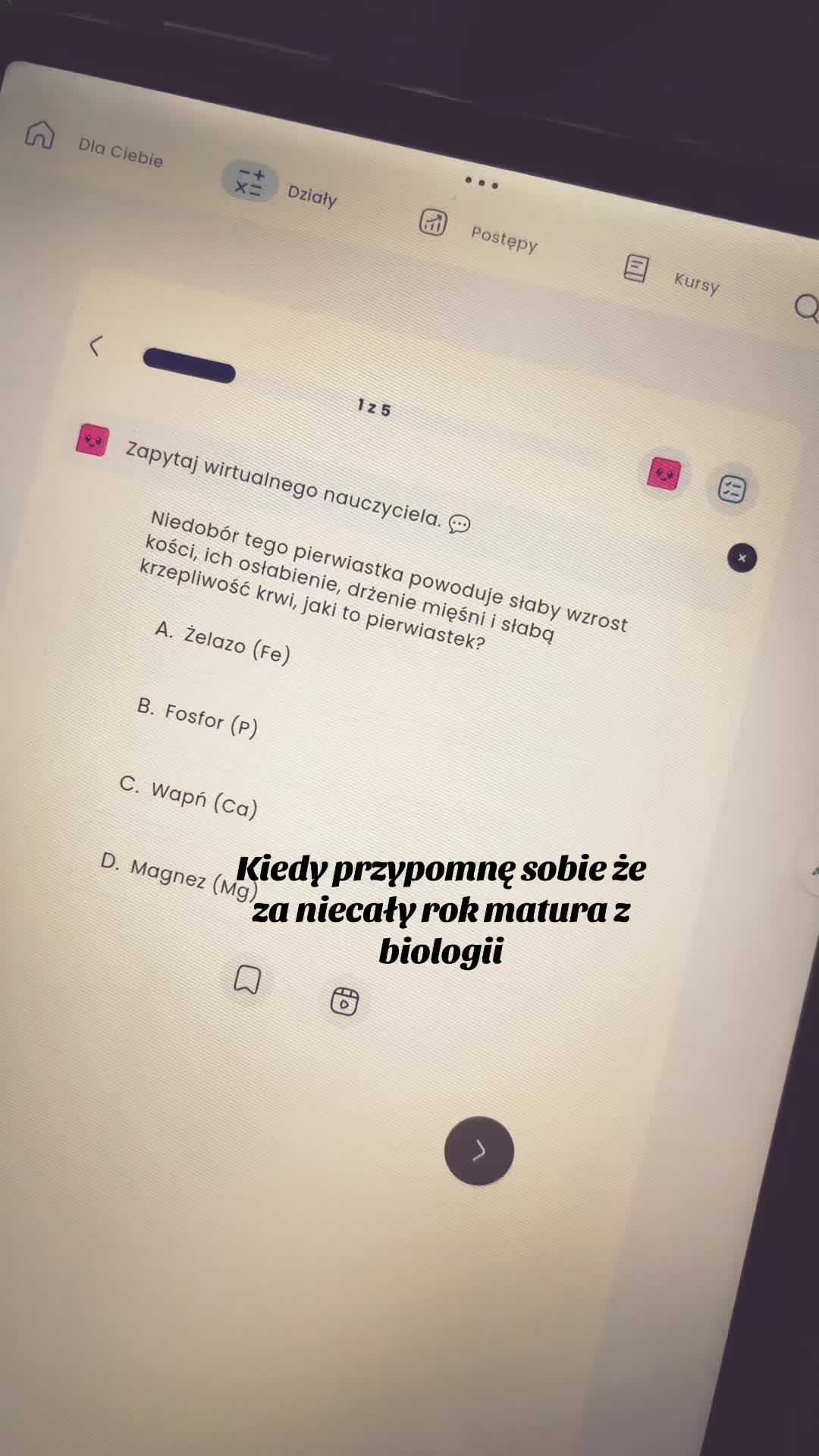 @martina.and.study