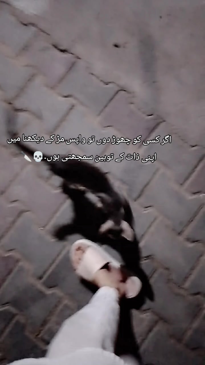 @Nimi🦋