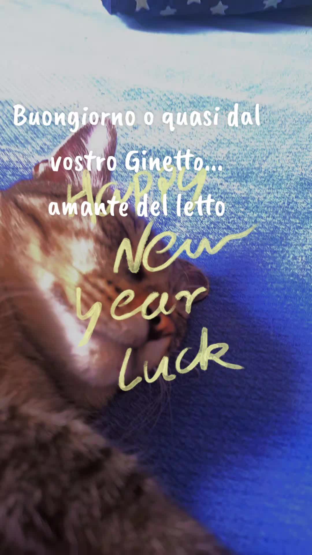 @La giusta distanza tra I ricci