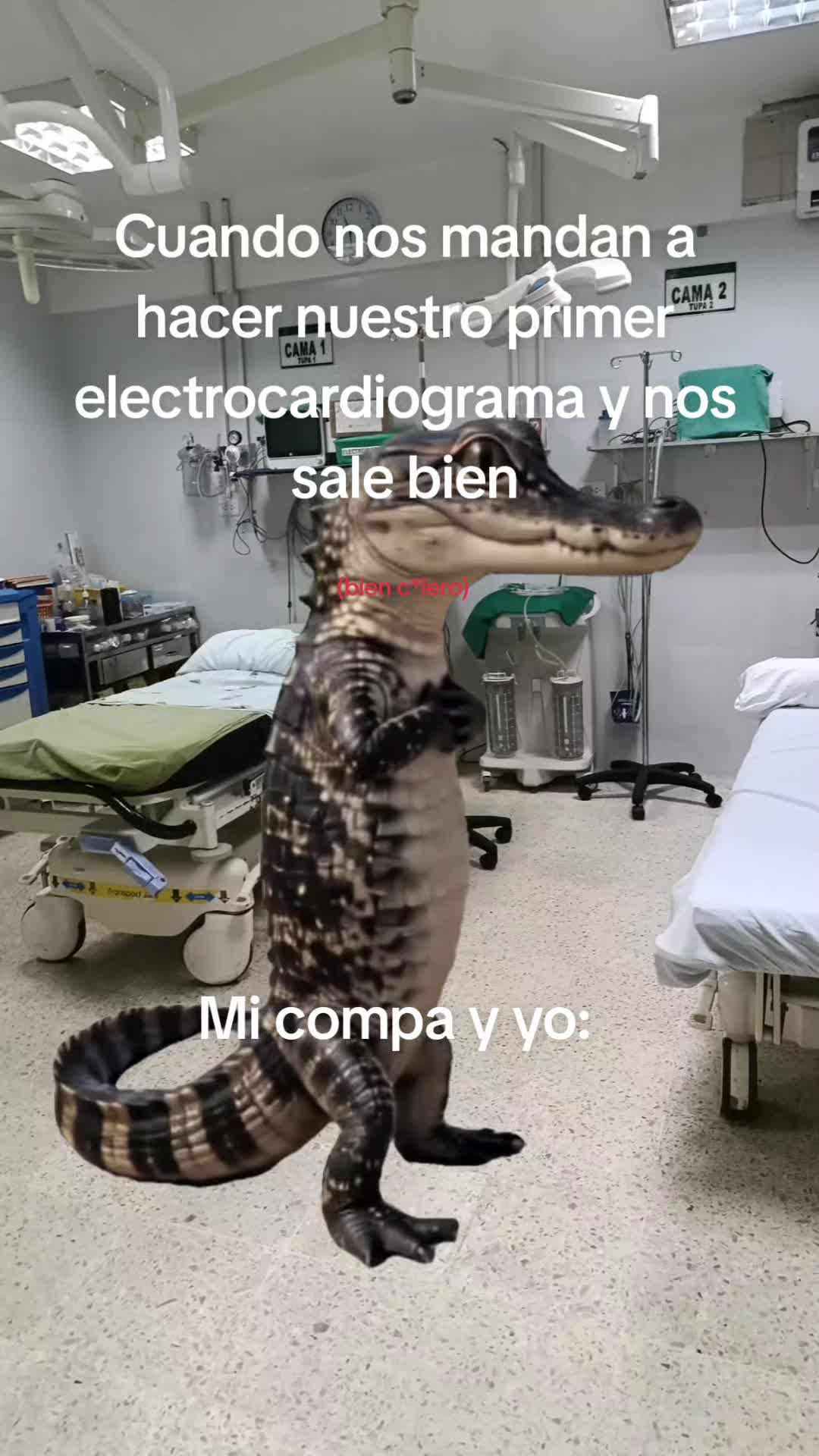 @BriVelarde🤍