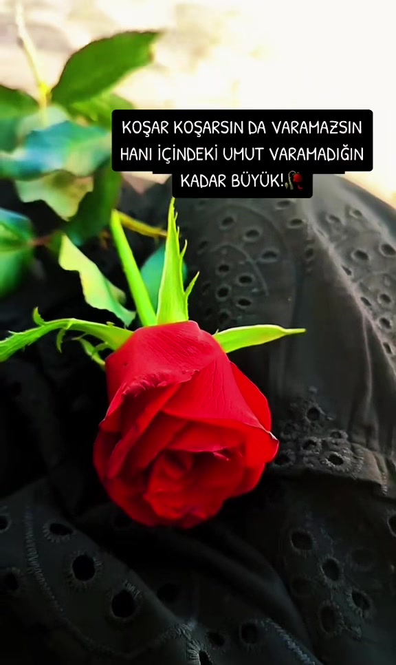 @Hasret🍁