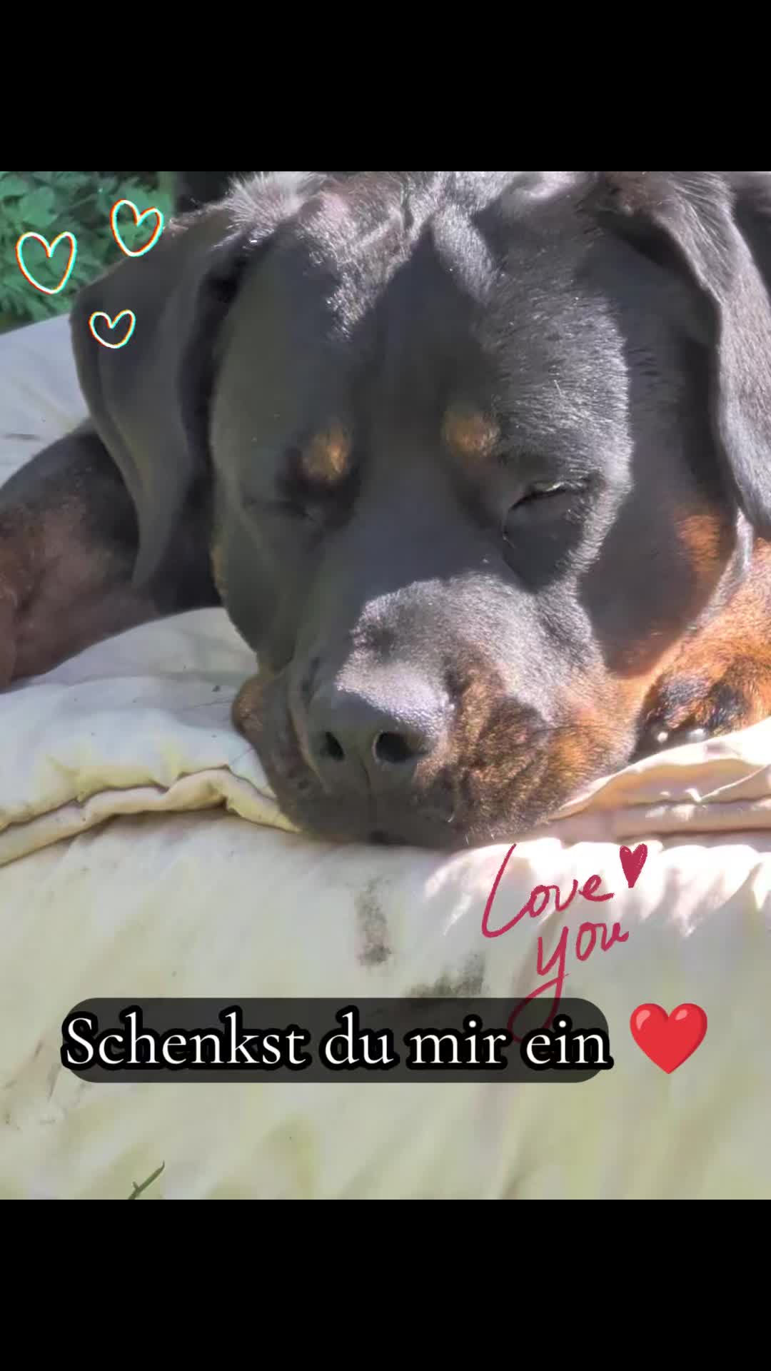@💝Olle💜Emma🤎Fritz💟Mutti💌