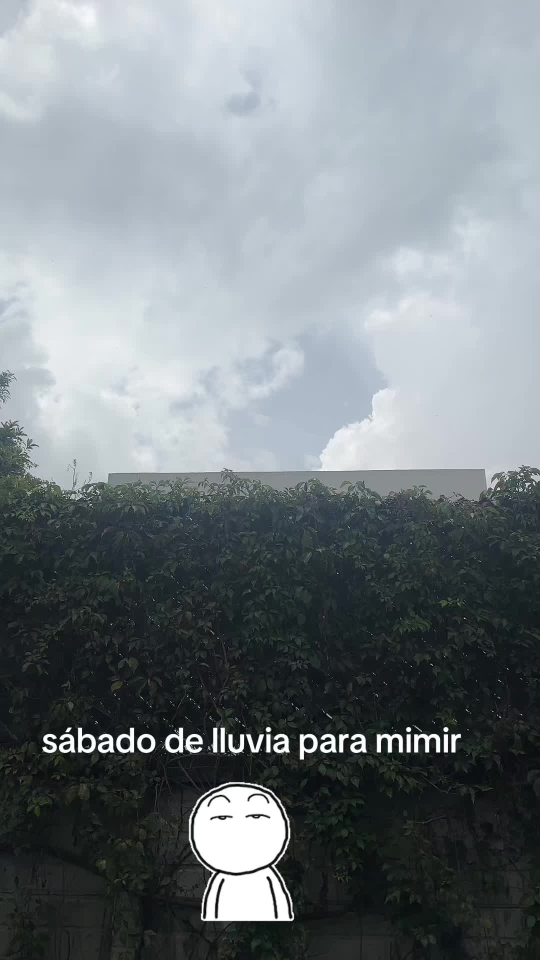 @Cristopher Orozco470