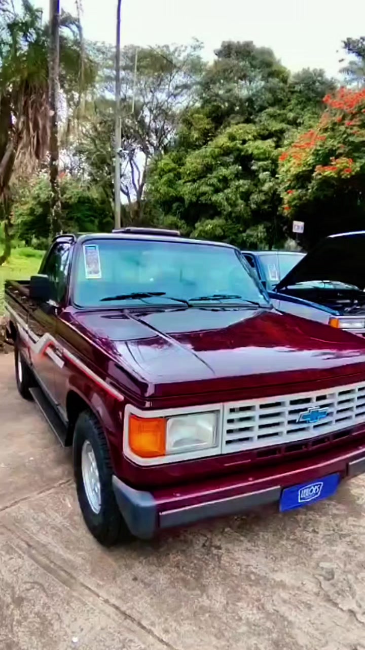 @Cars in Brasil