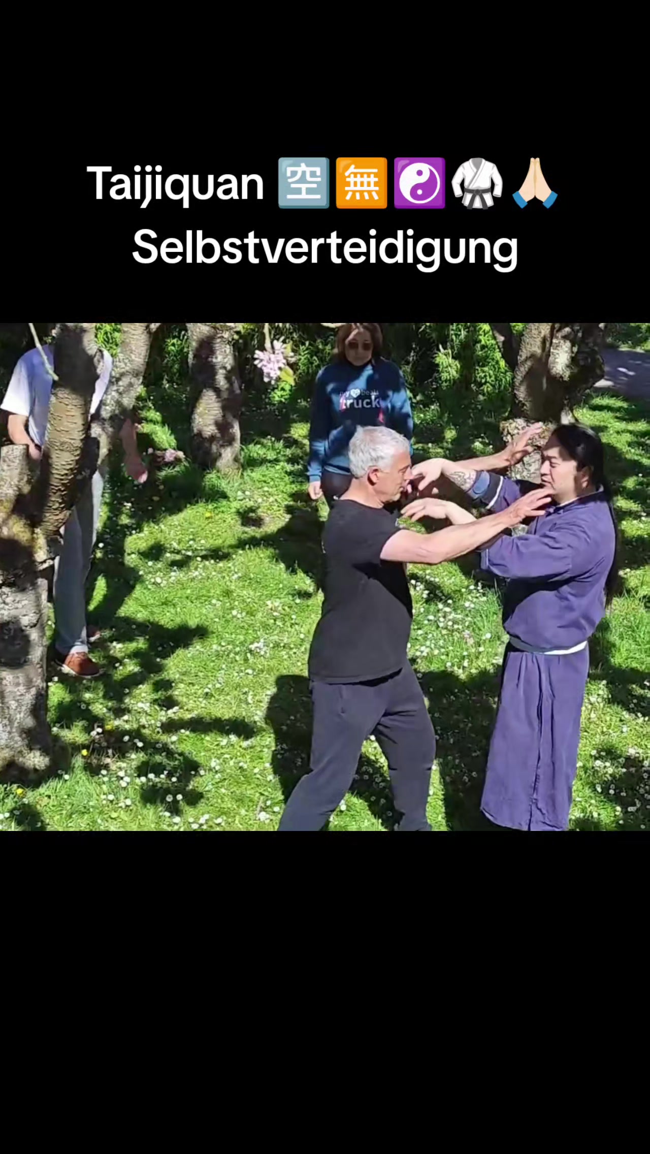 @TaiChi_Wingchun_PF