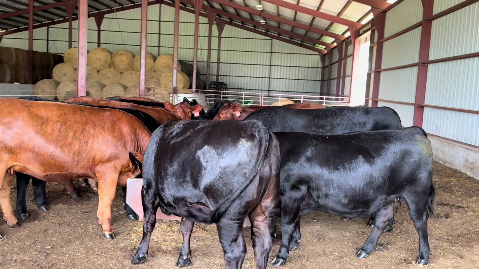 @Massey Land & Cattle