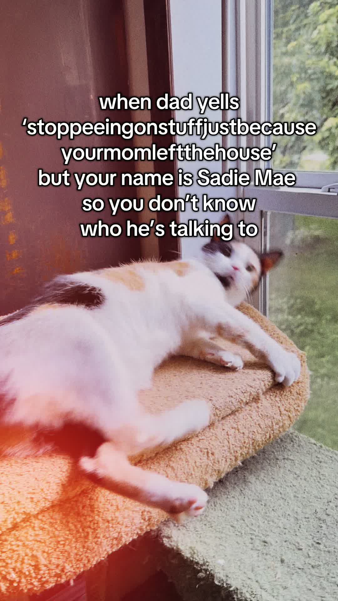 @DuhSheaBudder