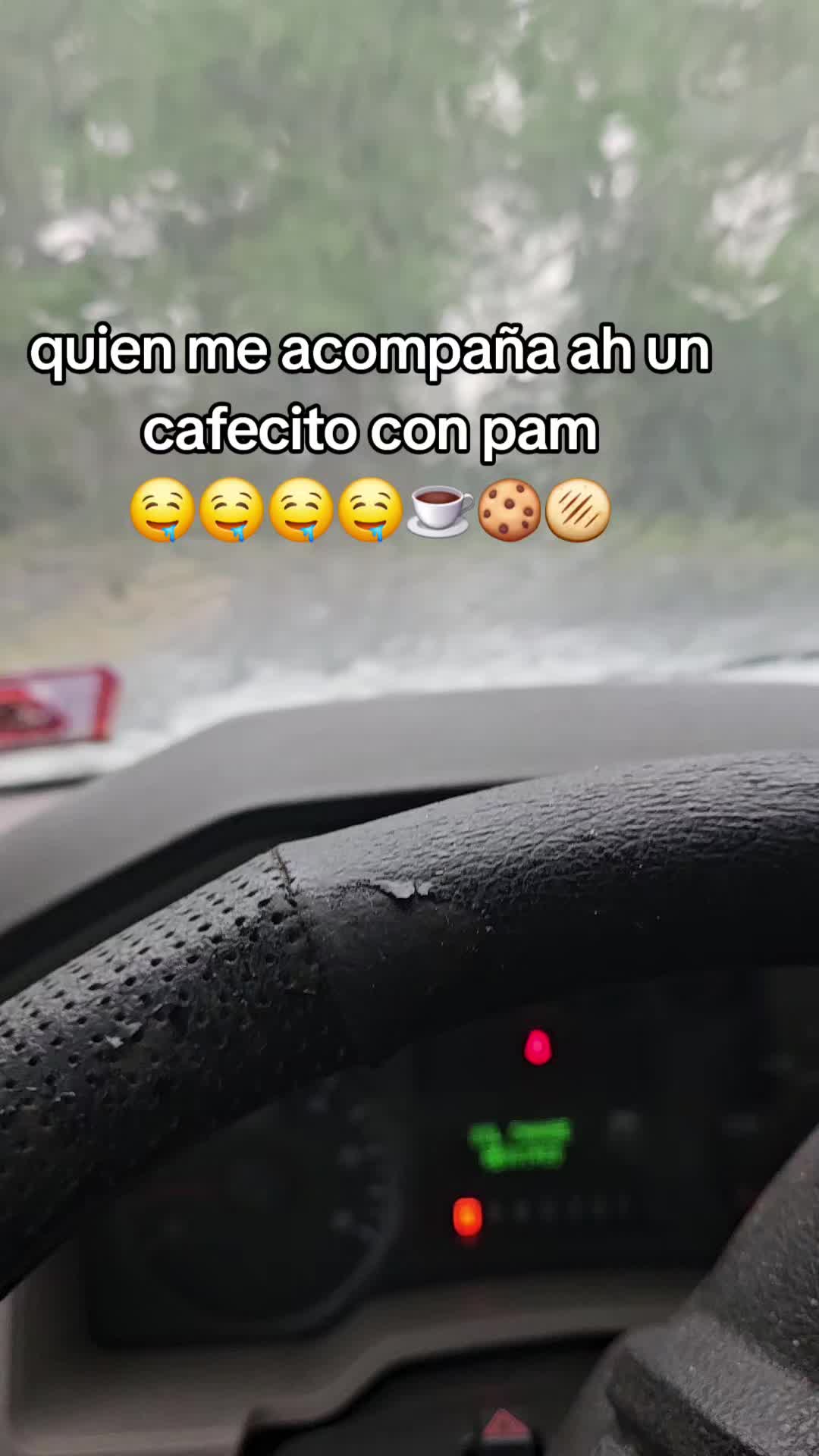 @caracol islen̈o 🇭🇳🇩🇴