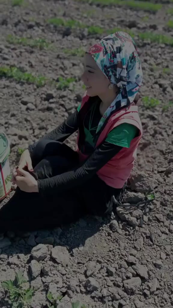 @Songül Pamuk