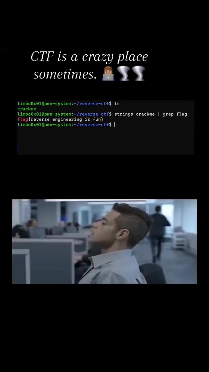 @NemeSys