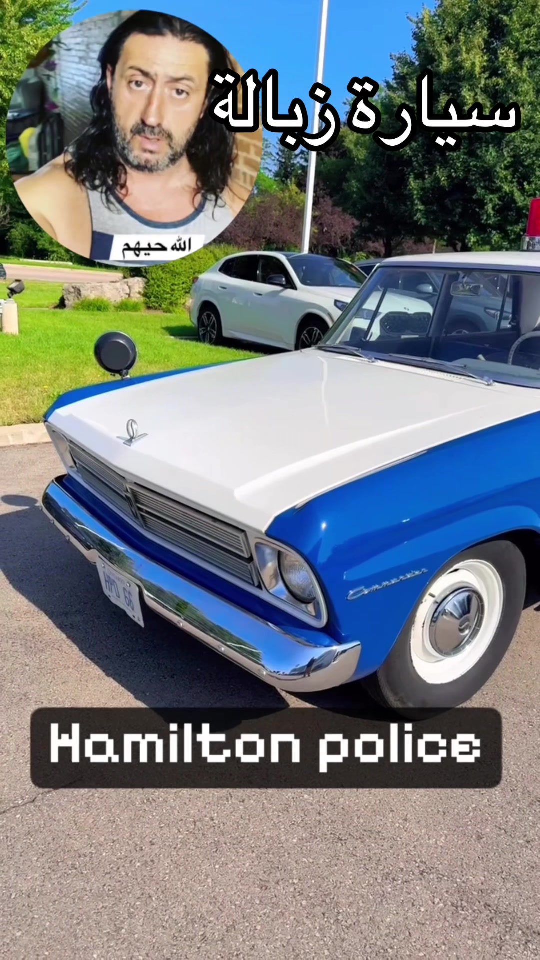 @Canadastallion 🇨🇦 الأصيل