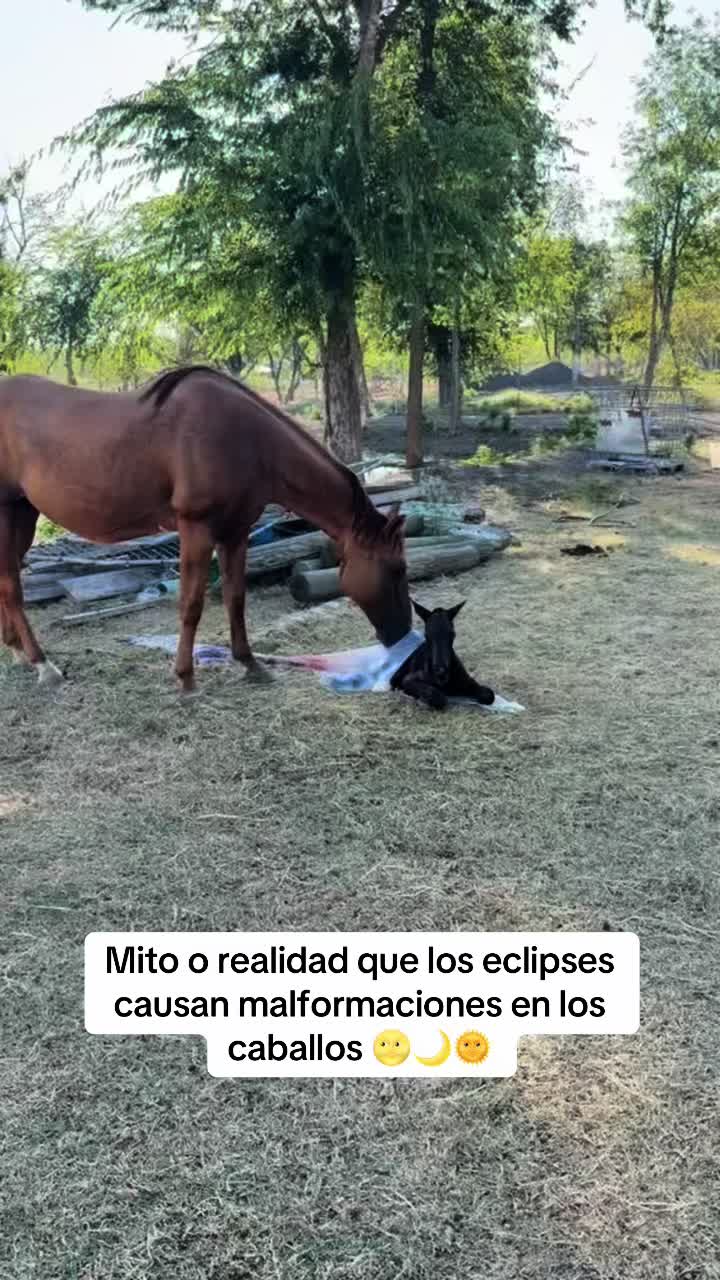 @Ranchoelnaturalito