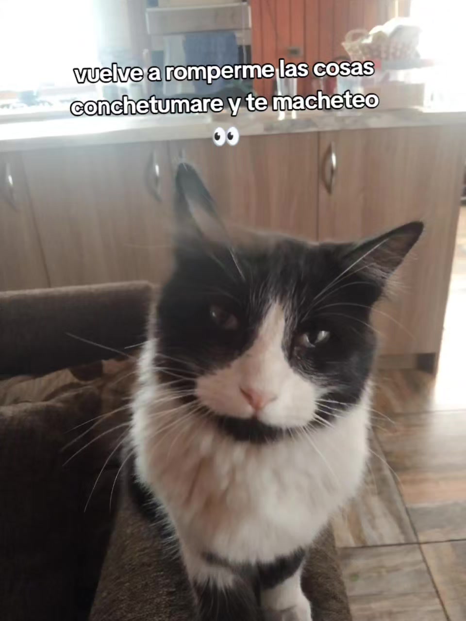 @F de fracasada