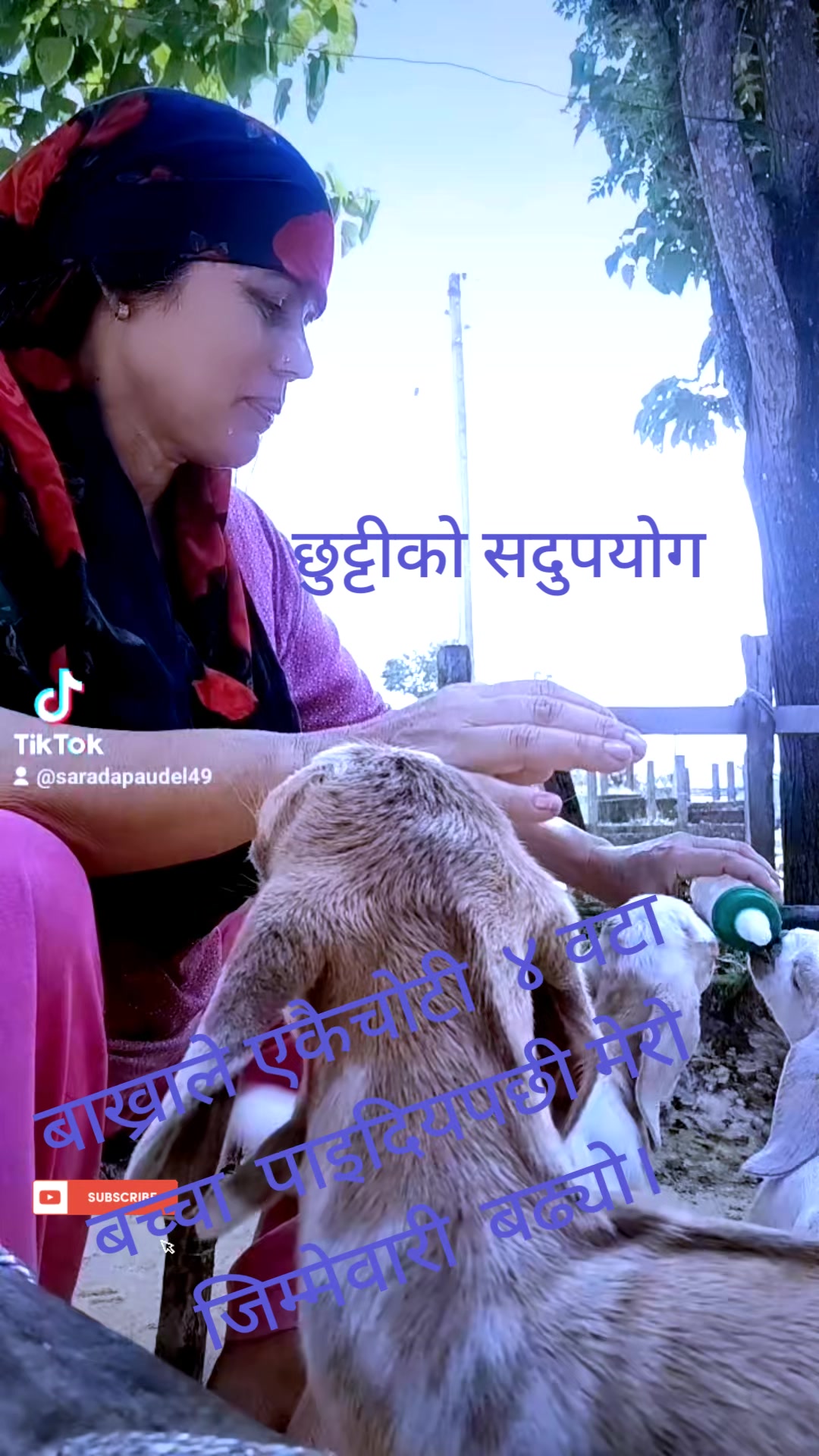 @Sarada Paudel