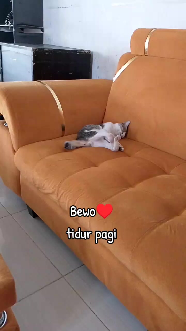 @😺Dermawan Spritual🌏