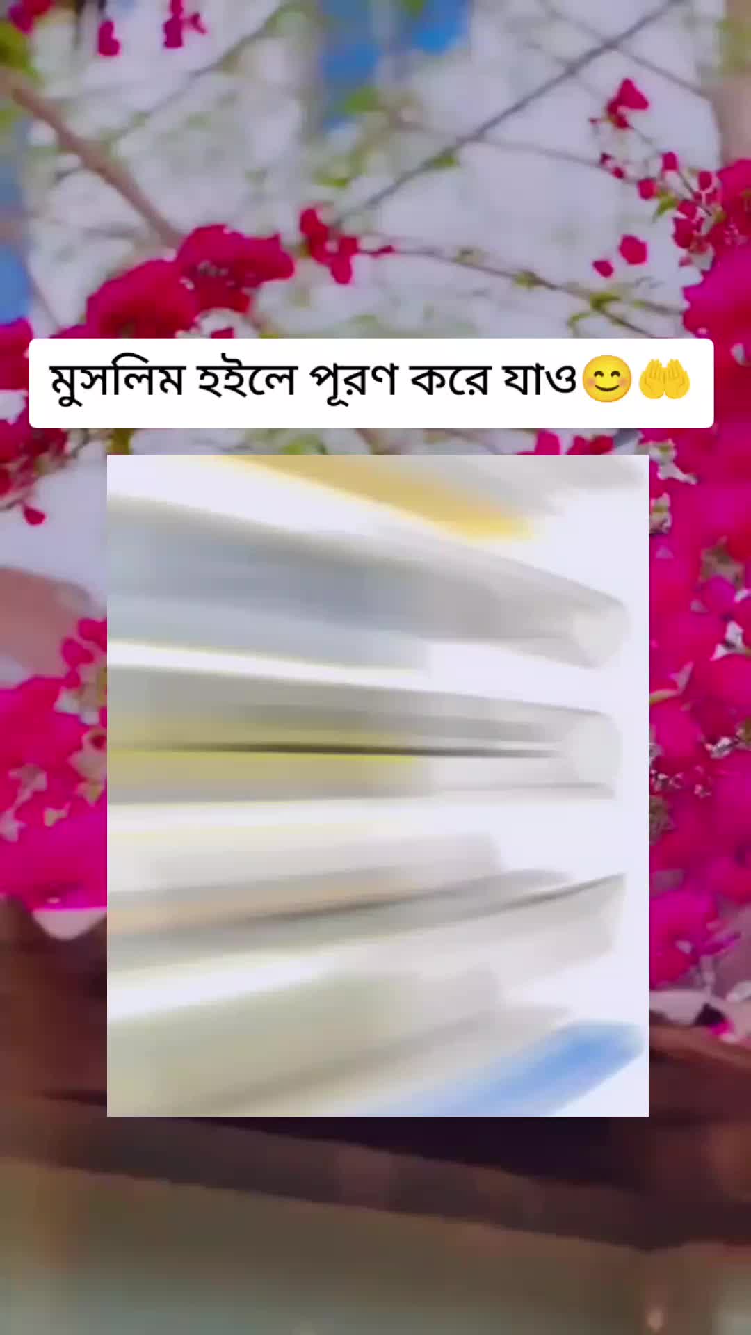 @🦋 ✿ SHAMIM XT ✿ 🦋