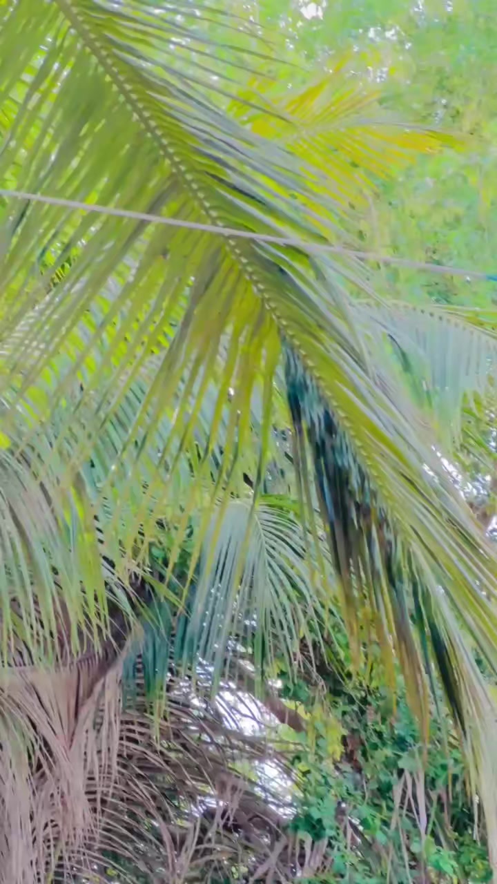 @𓂀 𝔸𝕤𝕚𝕗 👉𝟛𝟙𝟘 𓂀