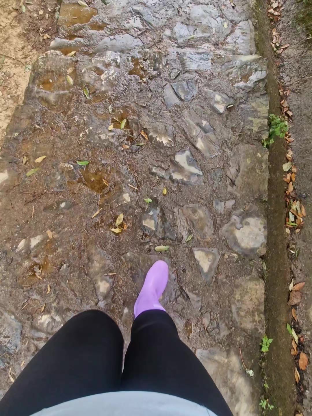 @Jane🌸