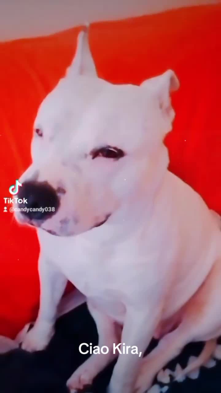 @๐๐ ๐ก ๐ธ ๐ผ ๐๐๐