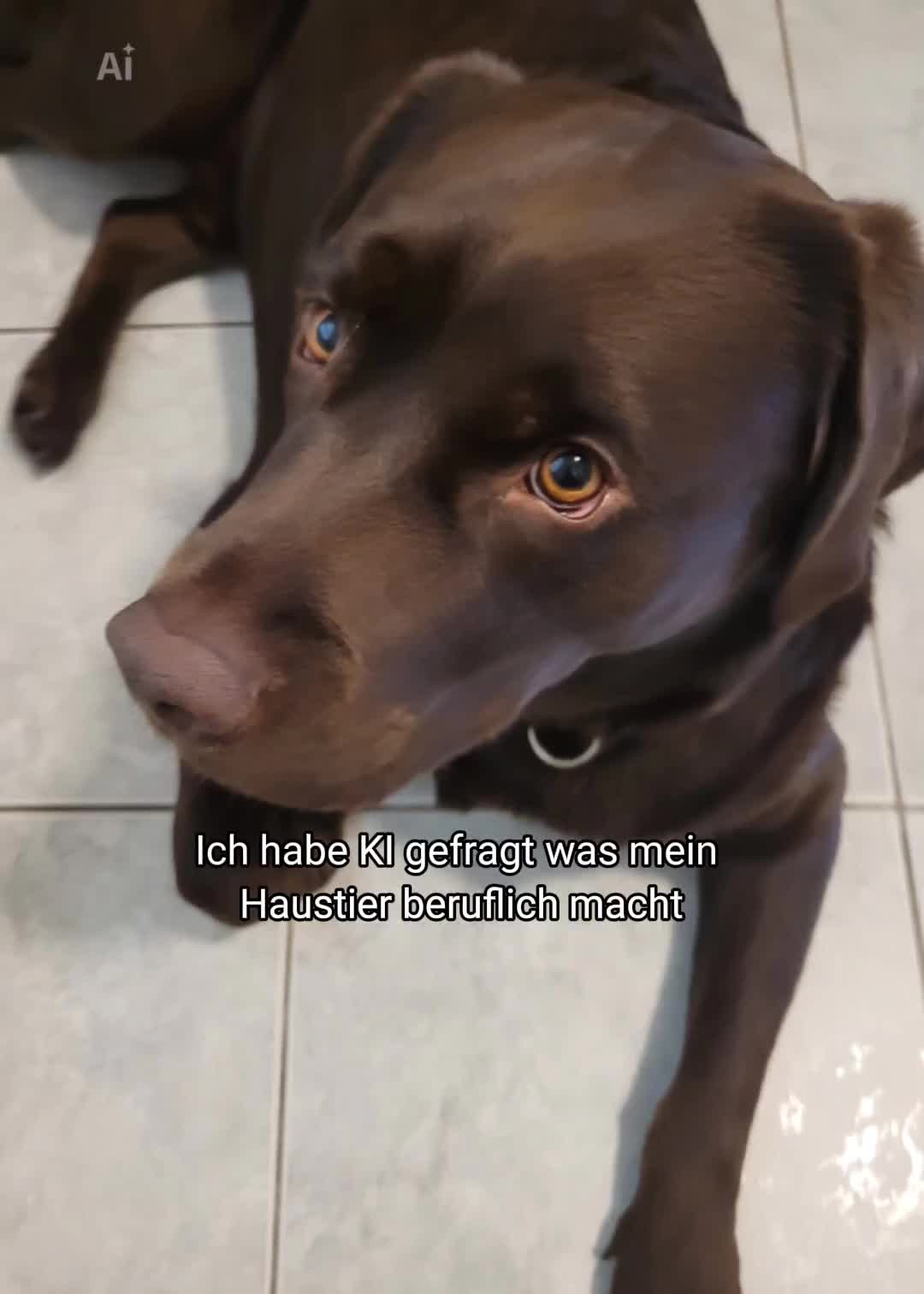 @Xandra mit X & Milo