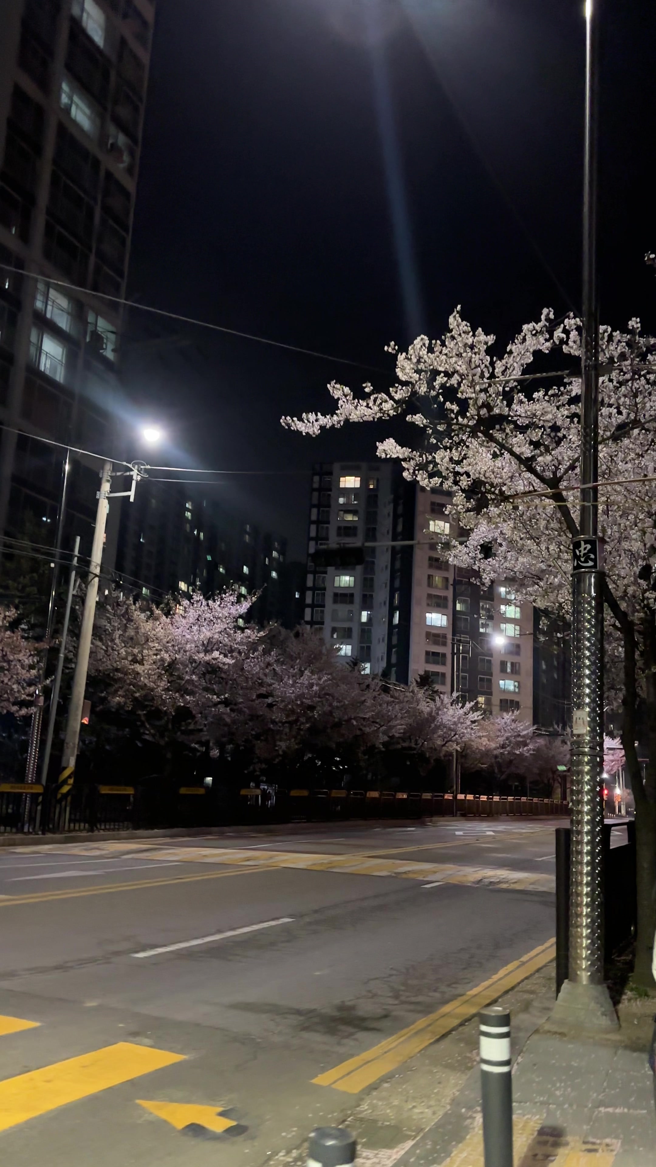 @맹채연